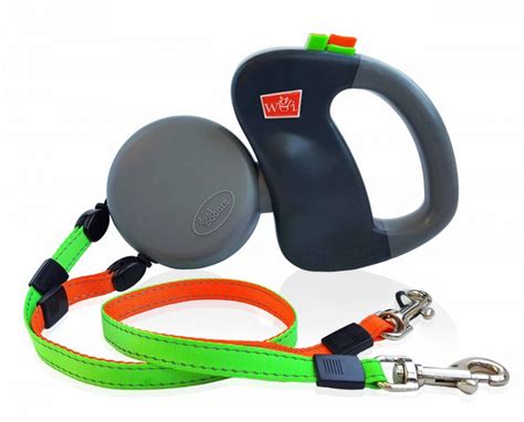 double loop dog leash|walk 2 dogs 1 leash.